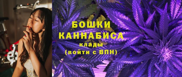 индика Волосово