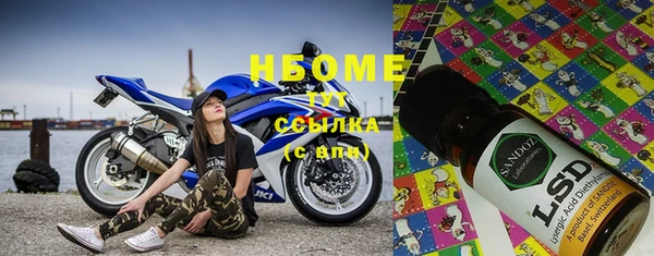 индика Волосово
