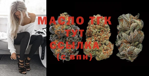 индика Волосово