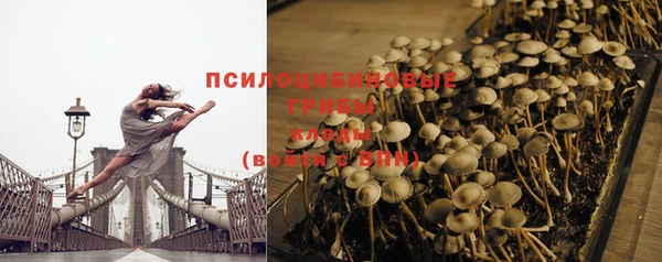 spice Володарск