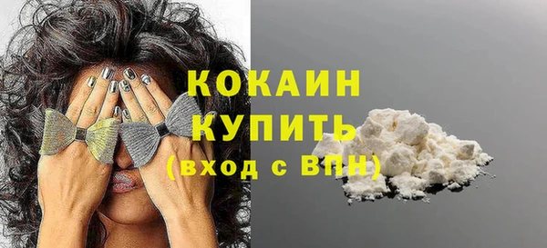 индика Волосово