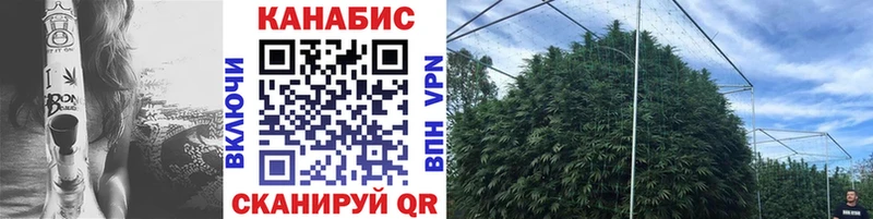 Бошки марихуана THC 21%  Купить закладки  Баксан 